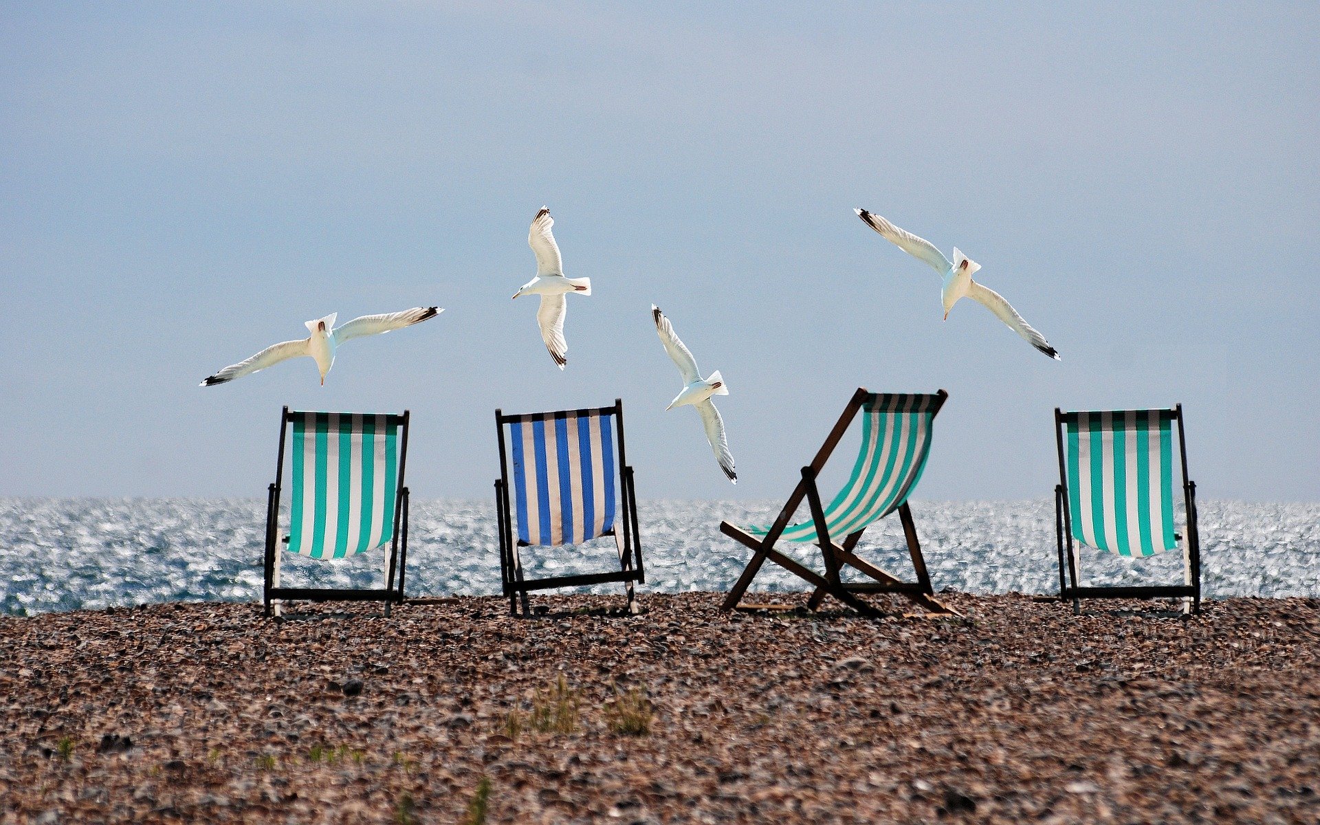 beach-814679_1920